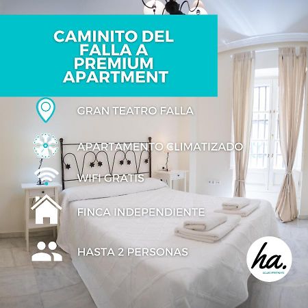 Caminito Del Falla A Ha Apartment كاديز المظهر الخارجي الصورة